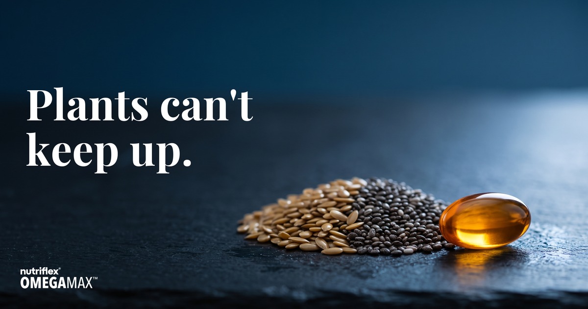 Flaxseed and chia beside an amber fish oil softgel. Marine omega-3 versus plant omega-3 for pets